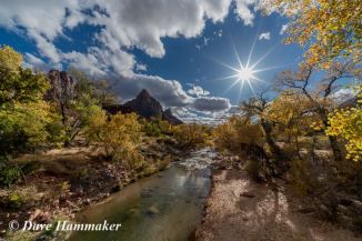 23172444_10156053459681494_8829464291737394612_n